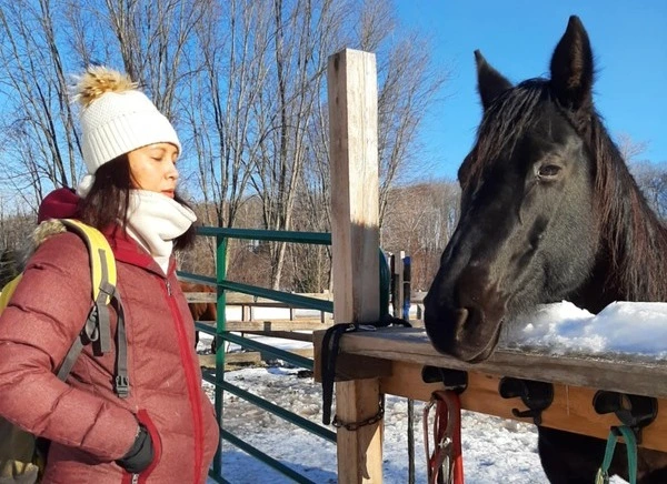 Le cheval, vrai miroir émotionnel