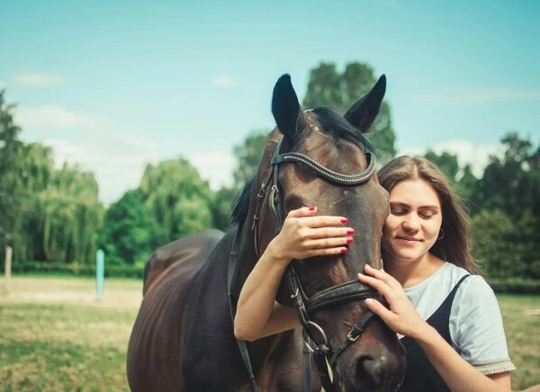Un accompagnement avec les chevaux