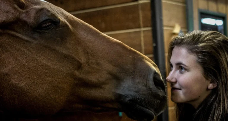 Comment les Chevaux Peuvent Guider Votre Voyage de Développement Personnel