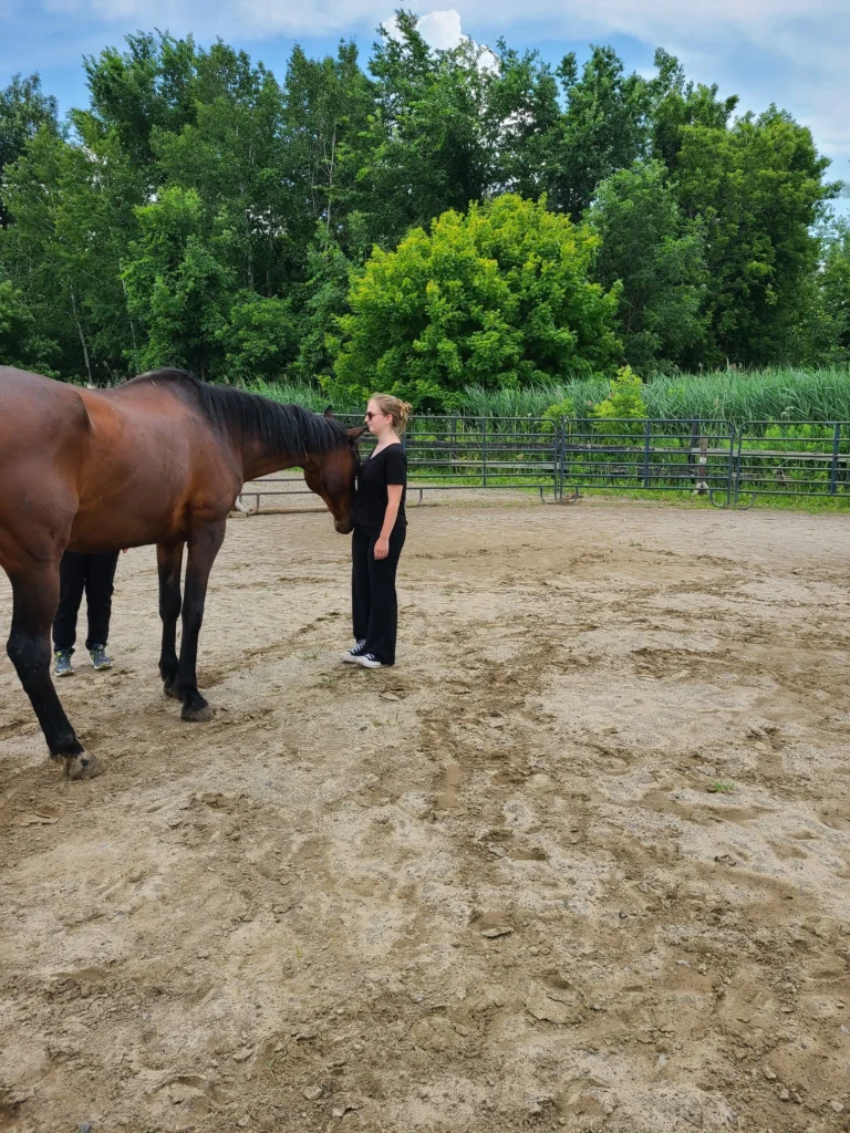 Accompagnement avec les chevaux