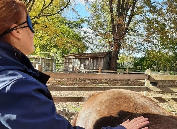 Une transformation personnelle profonde à l'aide du cheval